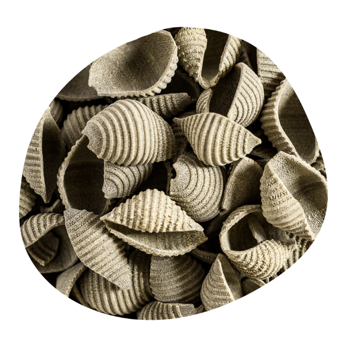 Coquillages aux orties