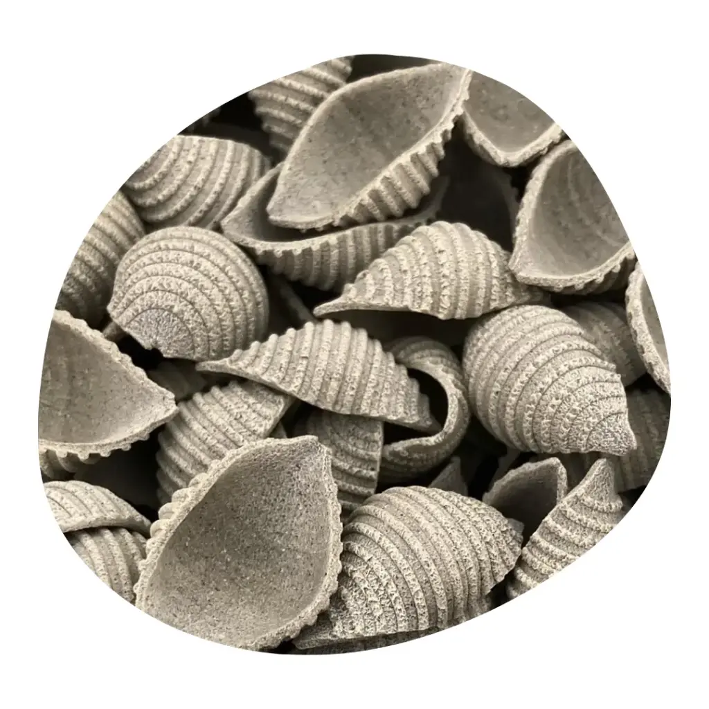 [PF/VSORTIE02] Pâtes FRANGINES aux Orties - Coquillage (Vrac - 3kg)