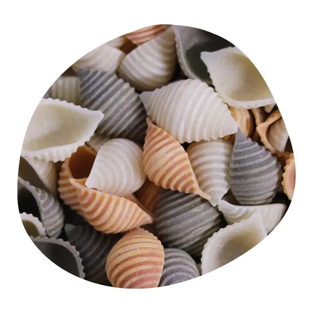 [PF/VSTOMBAS02] Pâtes FRANGINES Tomate & Basilic - Coquillage tricolore (Vrac 3kg)