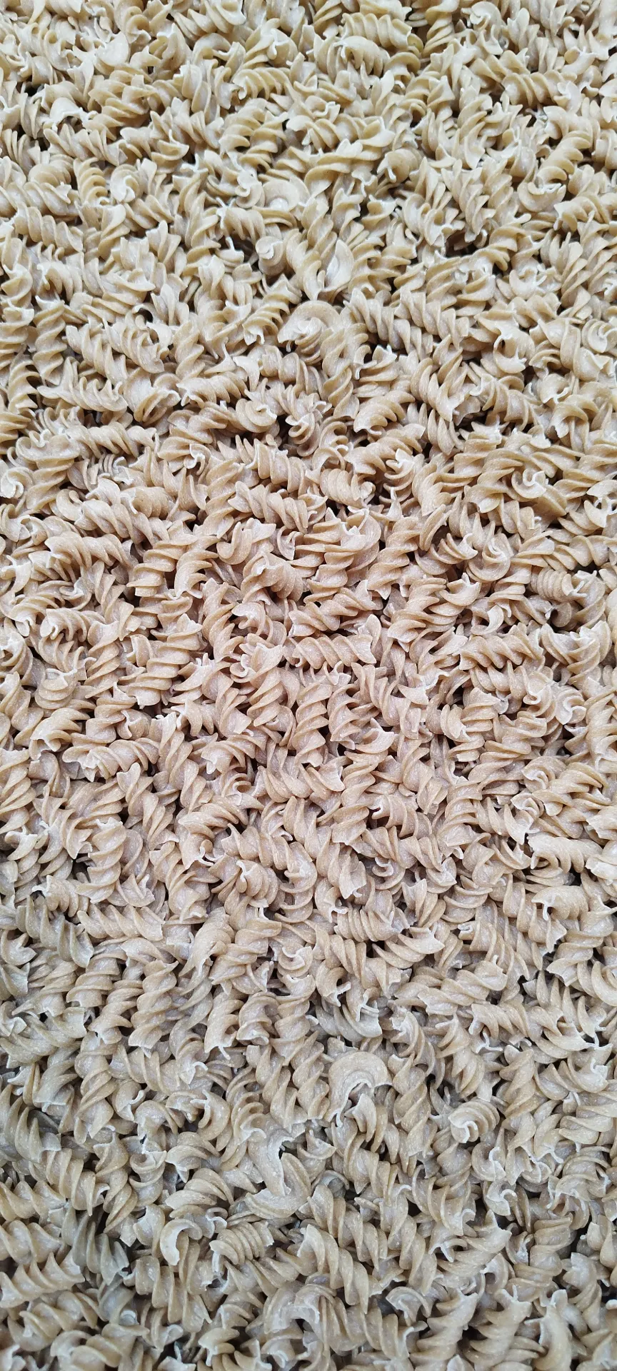 [PF/VFUS07] Pâtes FRANGINES Fusilli Blé Dur Semi-Complet (Vrac - 3kg)